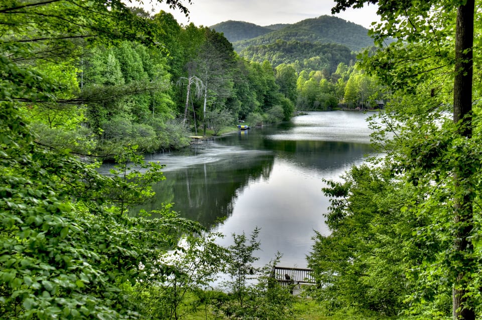 View from the deck of this amazing pet-friendly cabin rental in North GA