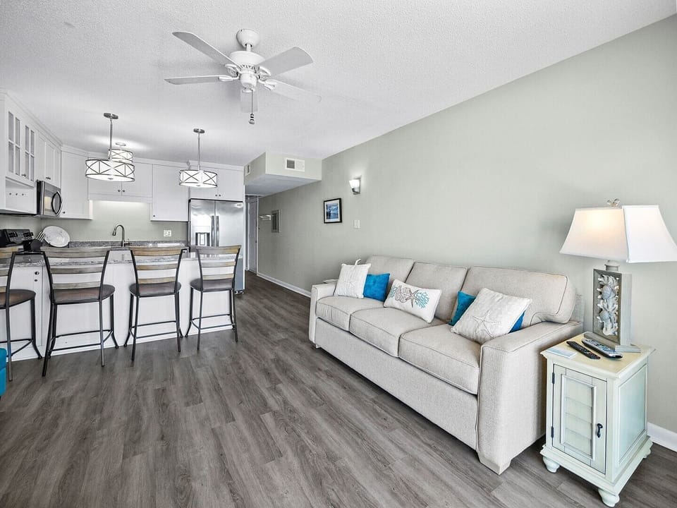 Living Room and Kitchen