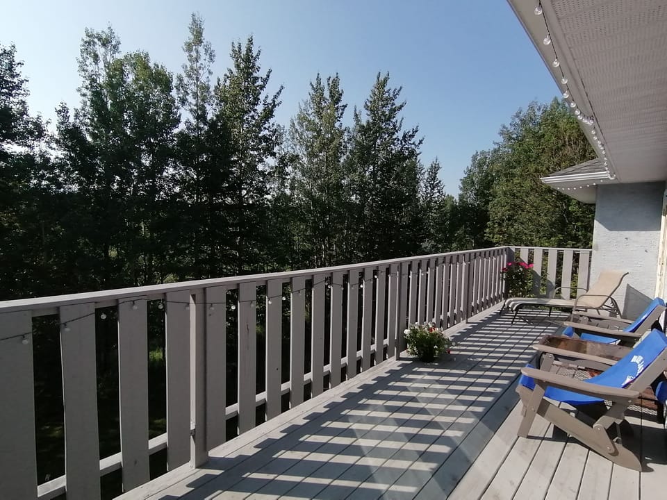 You can't get much closer to nature than this! Steps to Beaver Boardwalk.