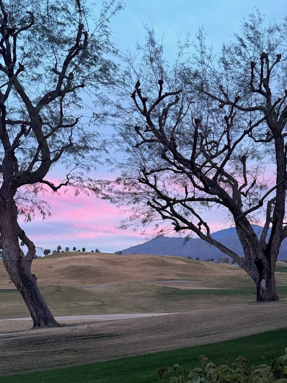 Golfcourse Sunset