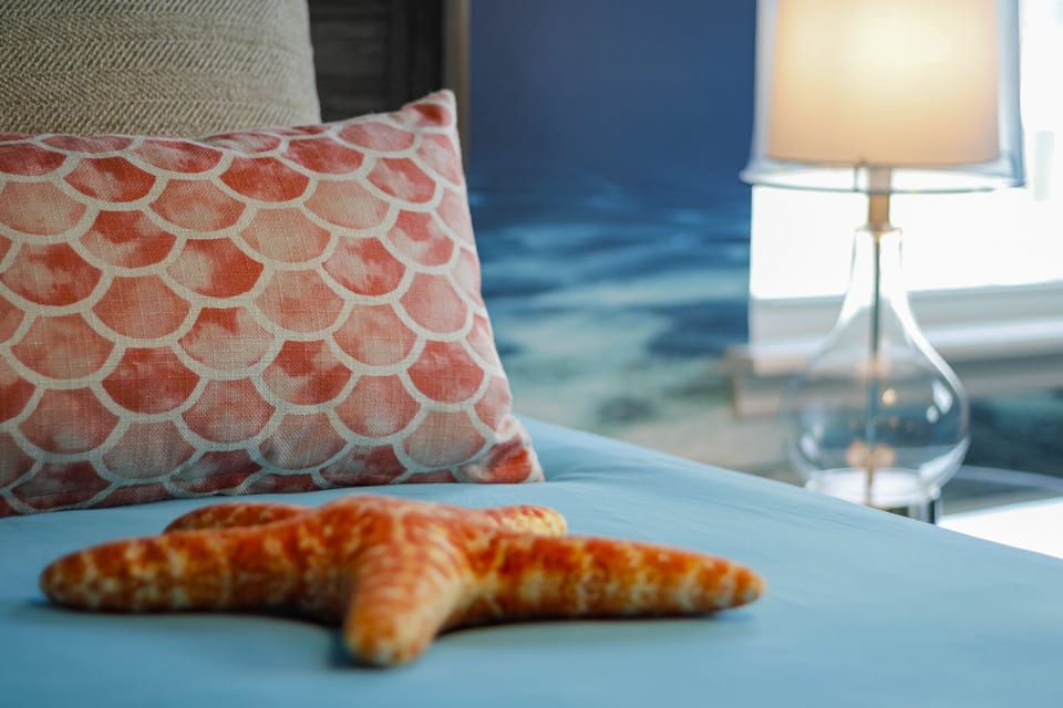 Starfish and Seashells