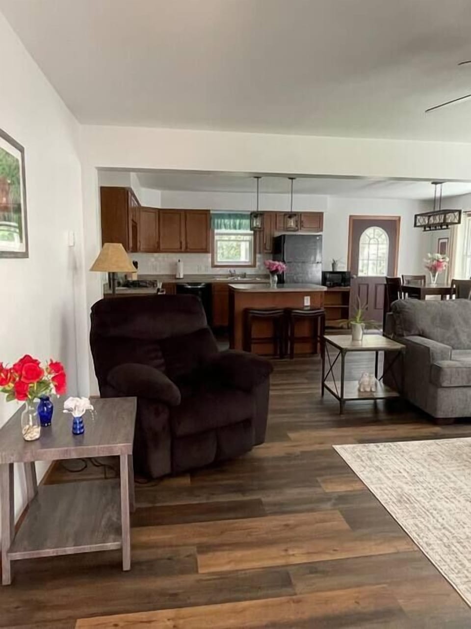 living room / kitchen (1)