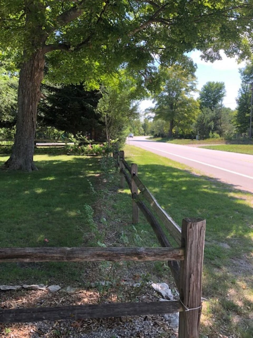 View from front yard fence