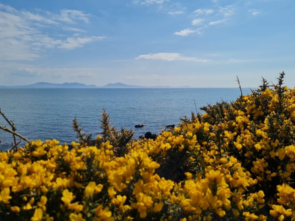 Spring Tide - Flowers and sea