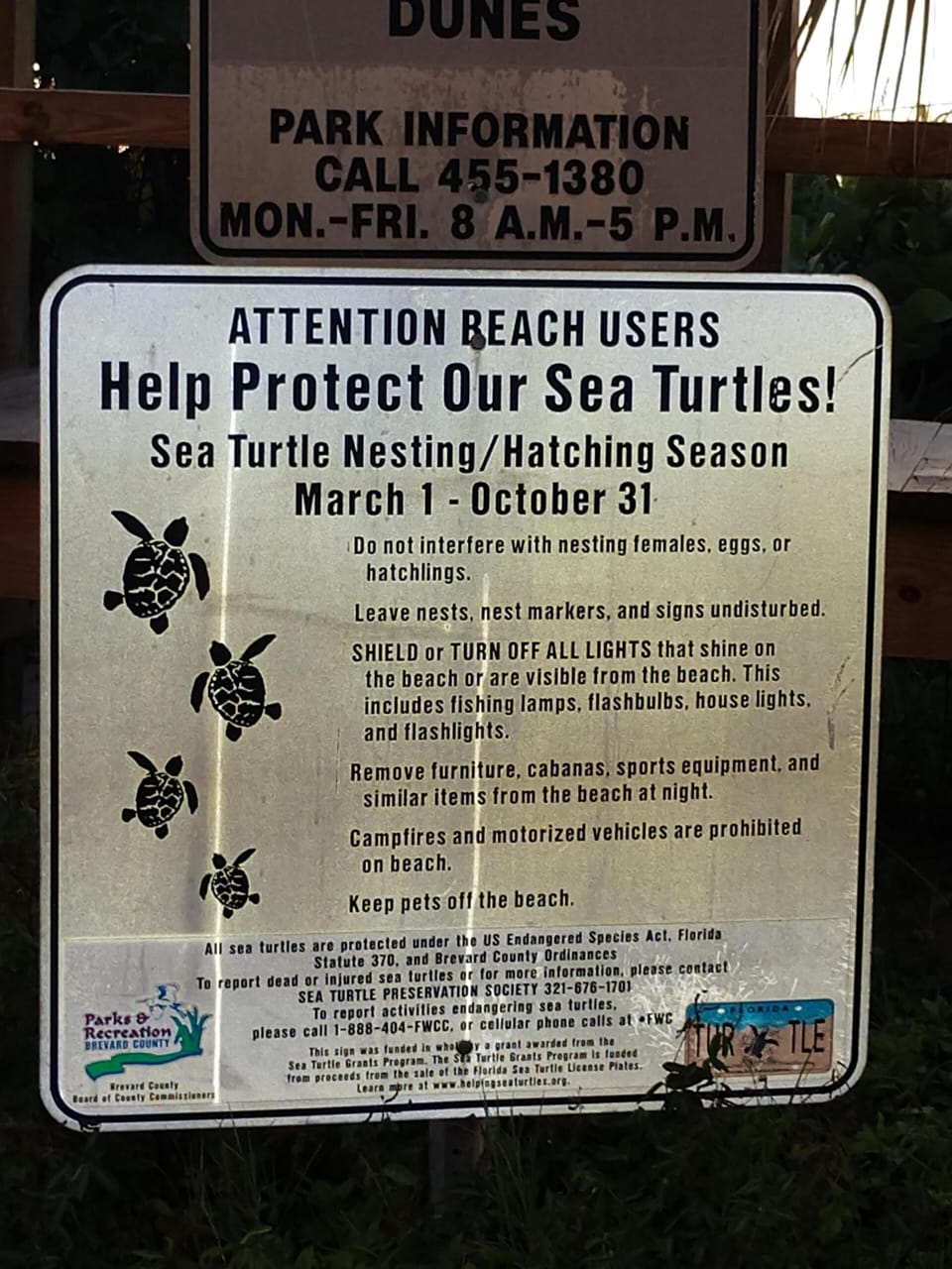 Please be nice to our neighbors ! you'll frequently see them during nesting  