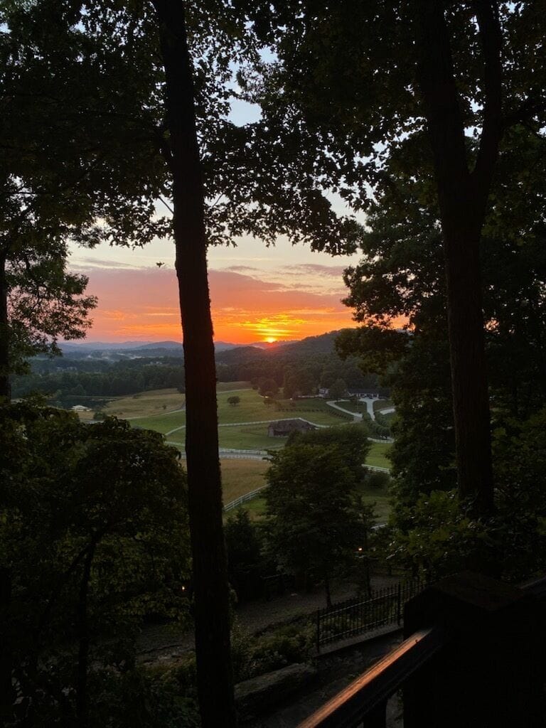 View from property