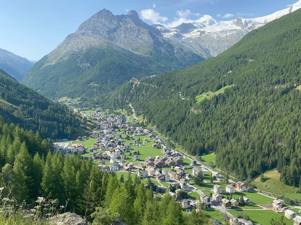 View
