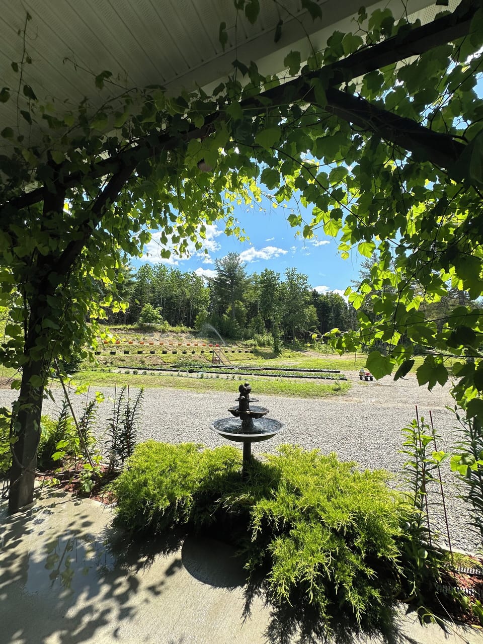 Sit in the shade under the awning and enjoy the homestead view