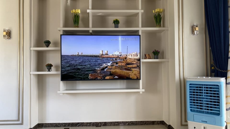 Television