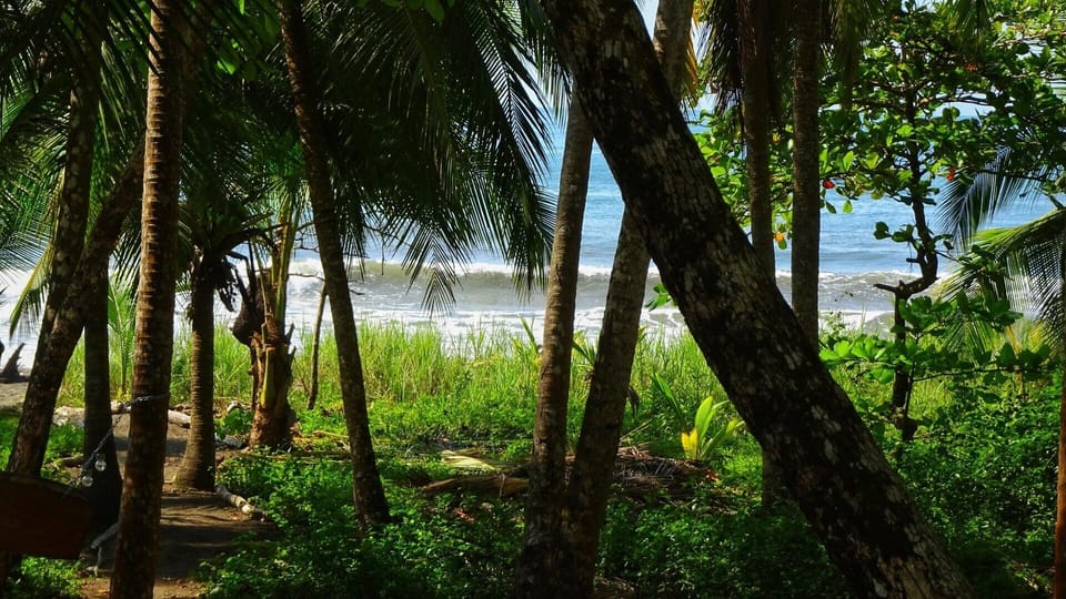 Our path to the beach