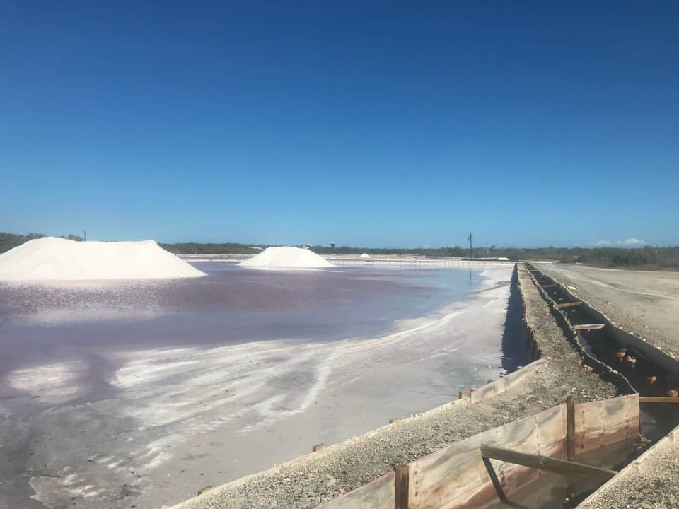 Las Salinas