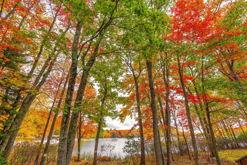 Outdoor deck with relaxing view of Boulder Lake, Poconos