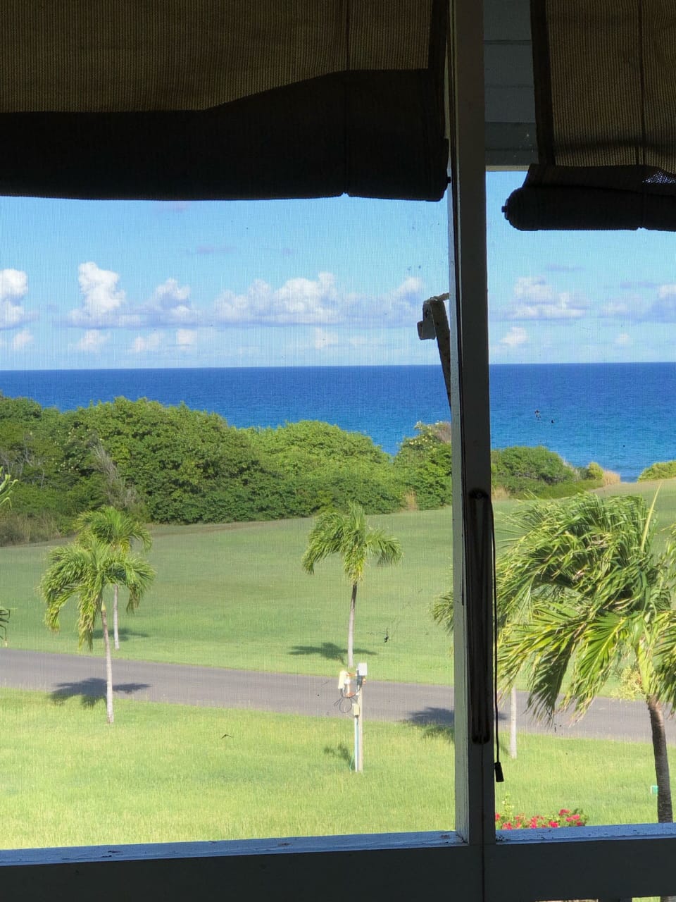 View from porch