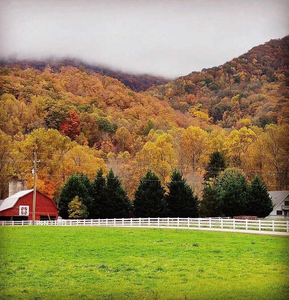 Fall Views from the Cabin