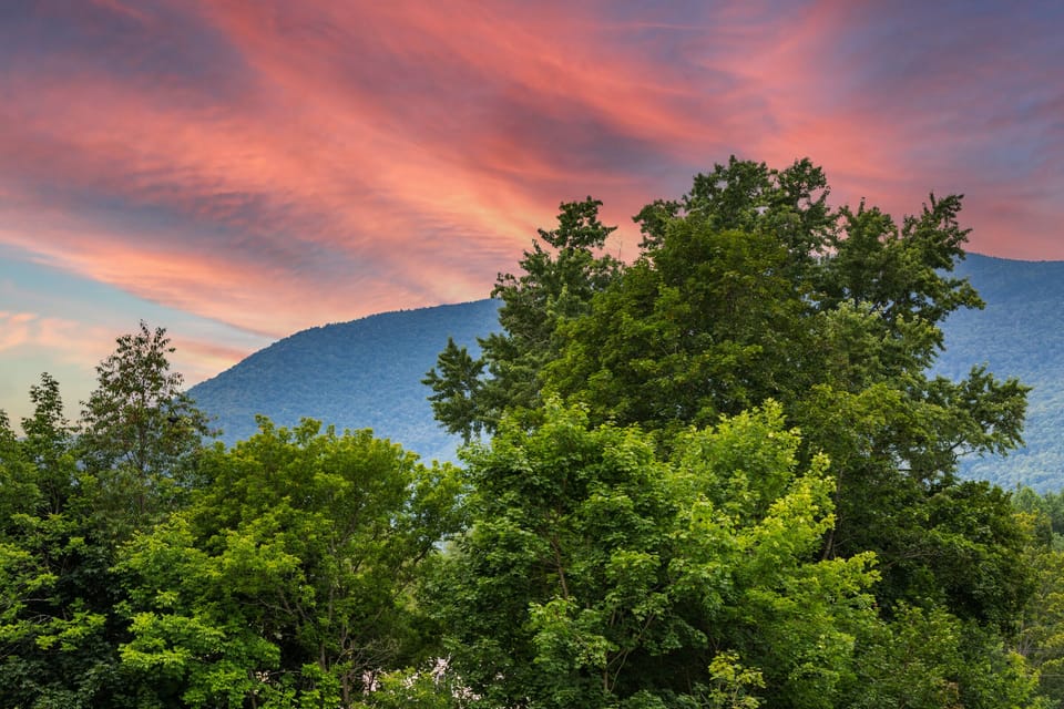 View from the living room/deck
