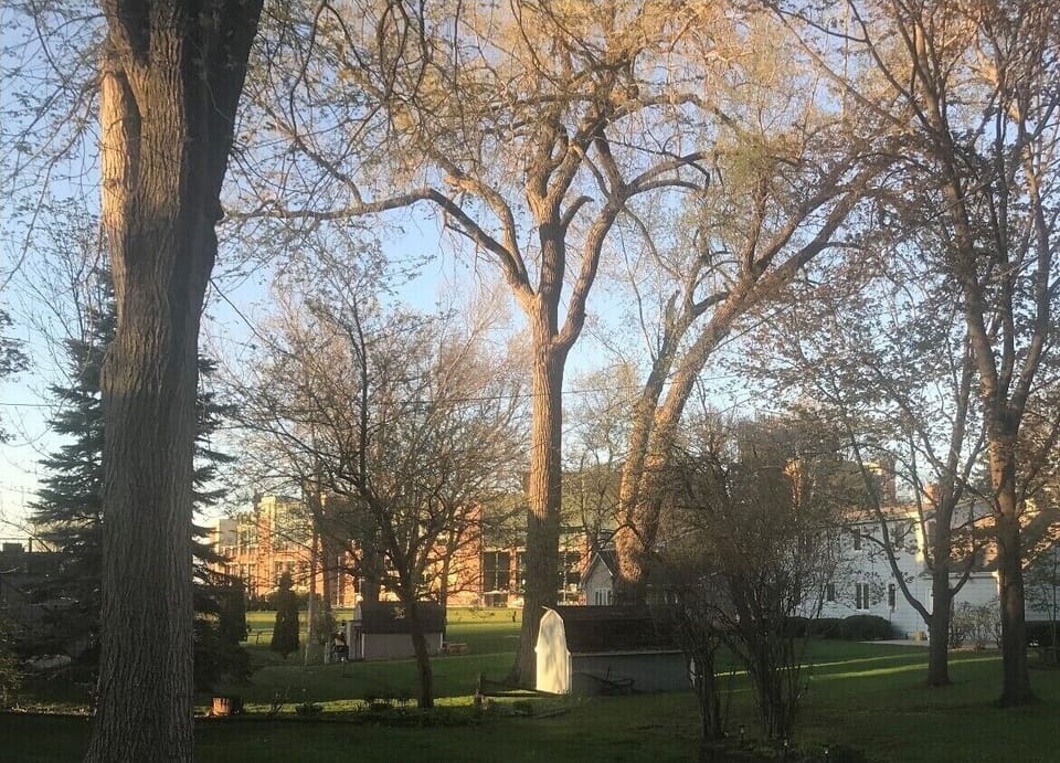 Lambeau Field from backyard