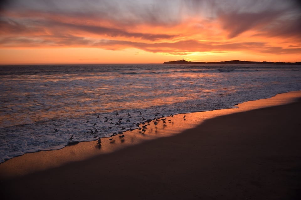 Beach