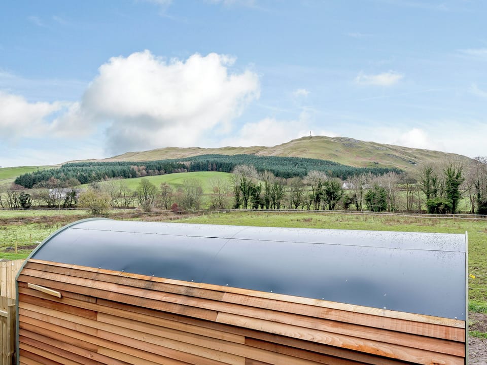 View | Heather - Freedom Fields, Straiton, near Maybole