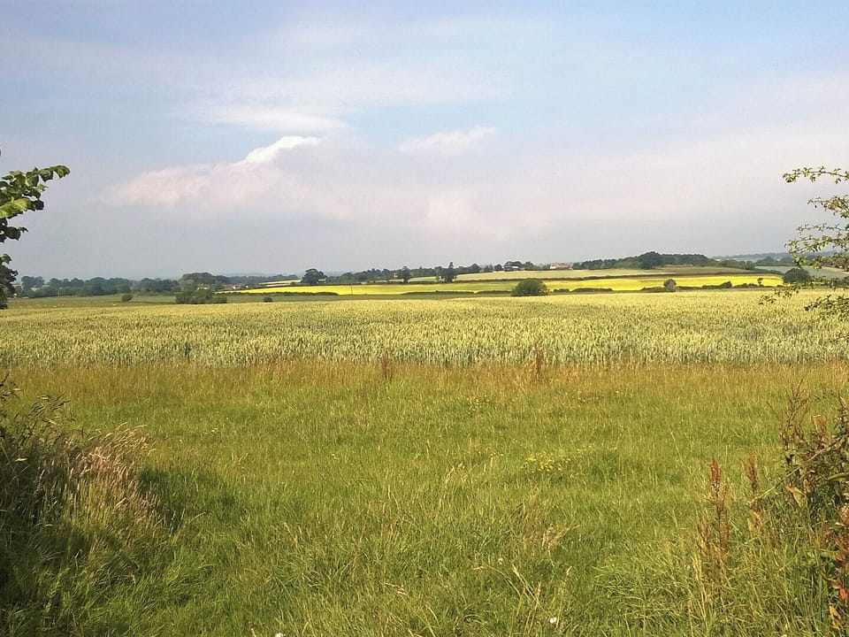 Surrounding area | Midelney Music Room, Midelney