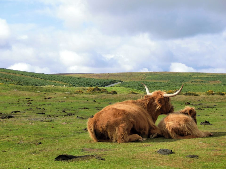 Surrounding area | Scenery Cottage, Bridford, Dartmoor