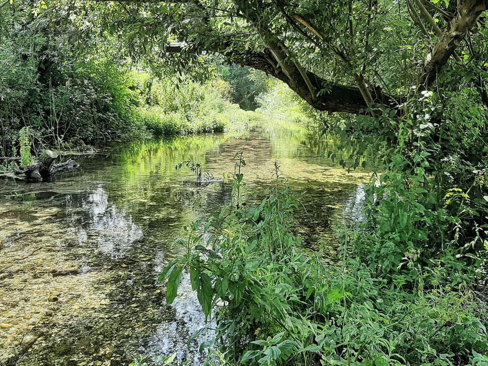 River at Duck Cottage | Duck Cottage, Winterbourne Dauntsey, near Salisbury