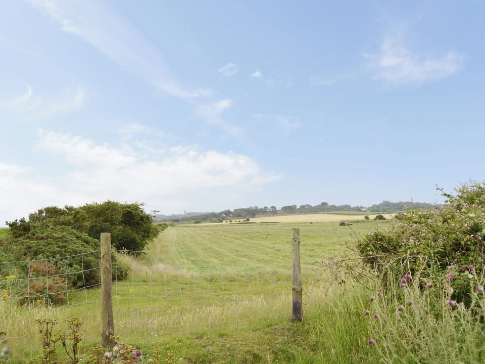 Surrounding area | Gulls Nest, Blakeney