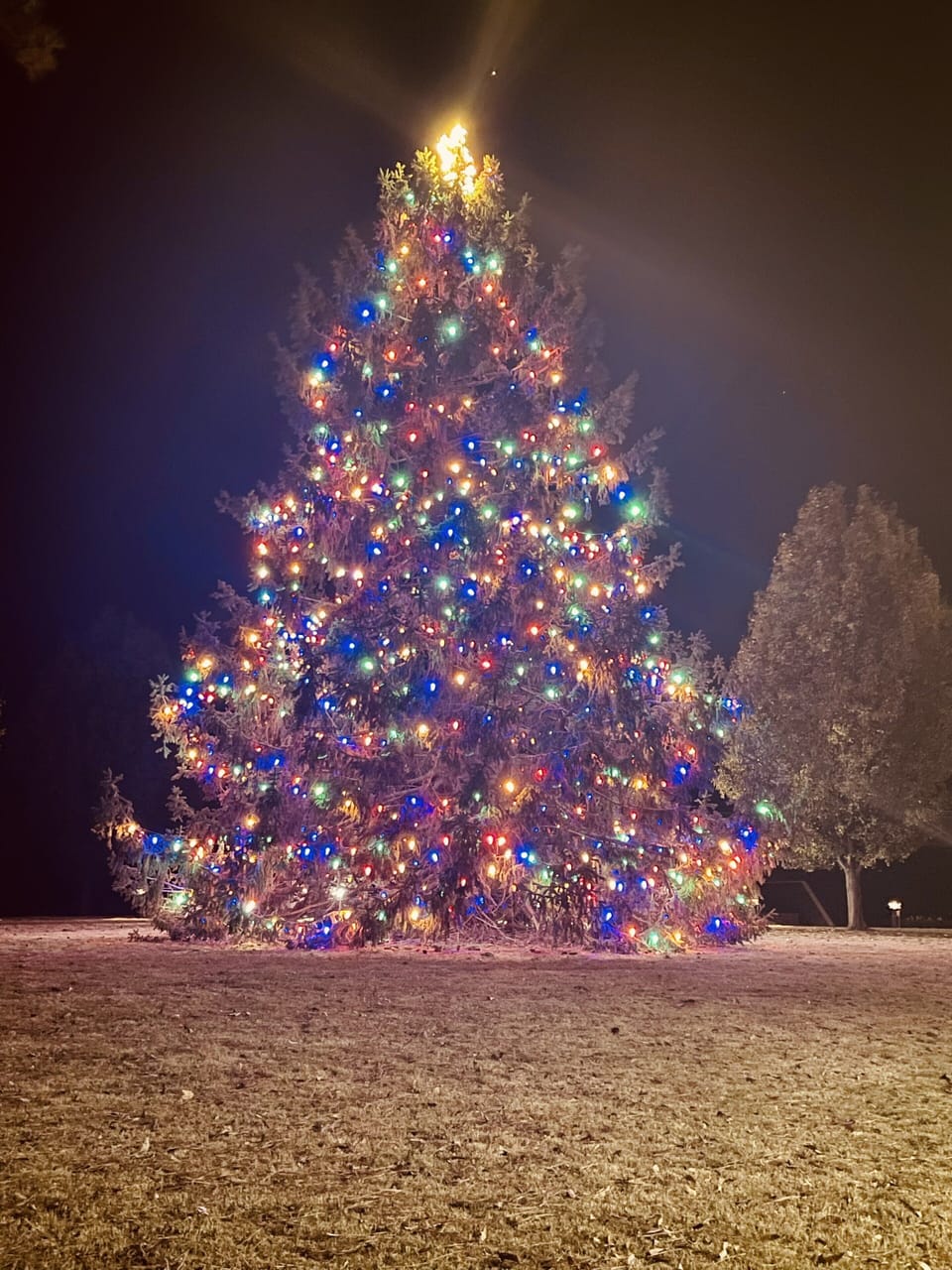 Kingsmill Holiday Tree 