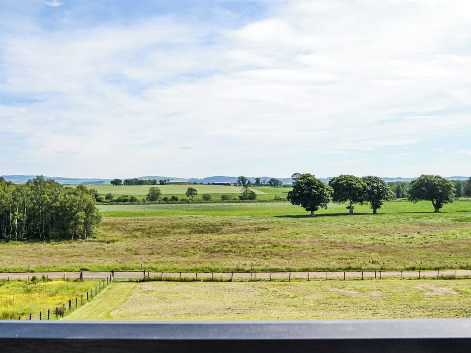 View | Gin Case, Gin Case