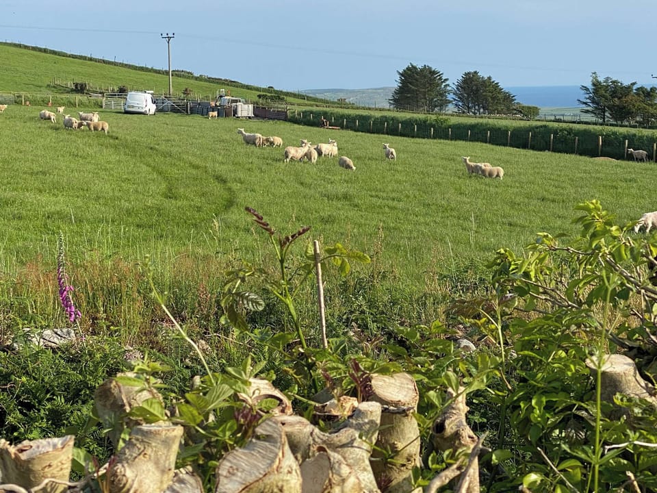 View | Neigwl View, Llaniestyn