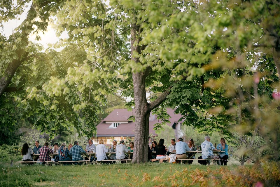 Catered Farm to Table dinner with Estate Home in the background.