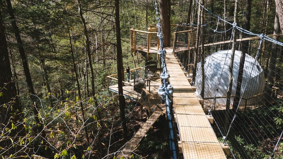 Bridge