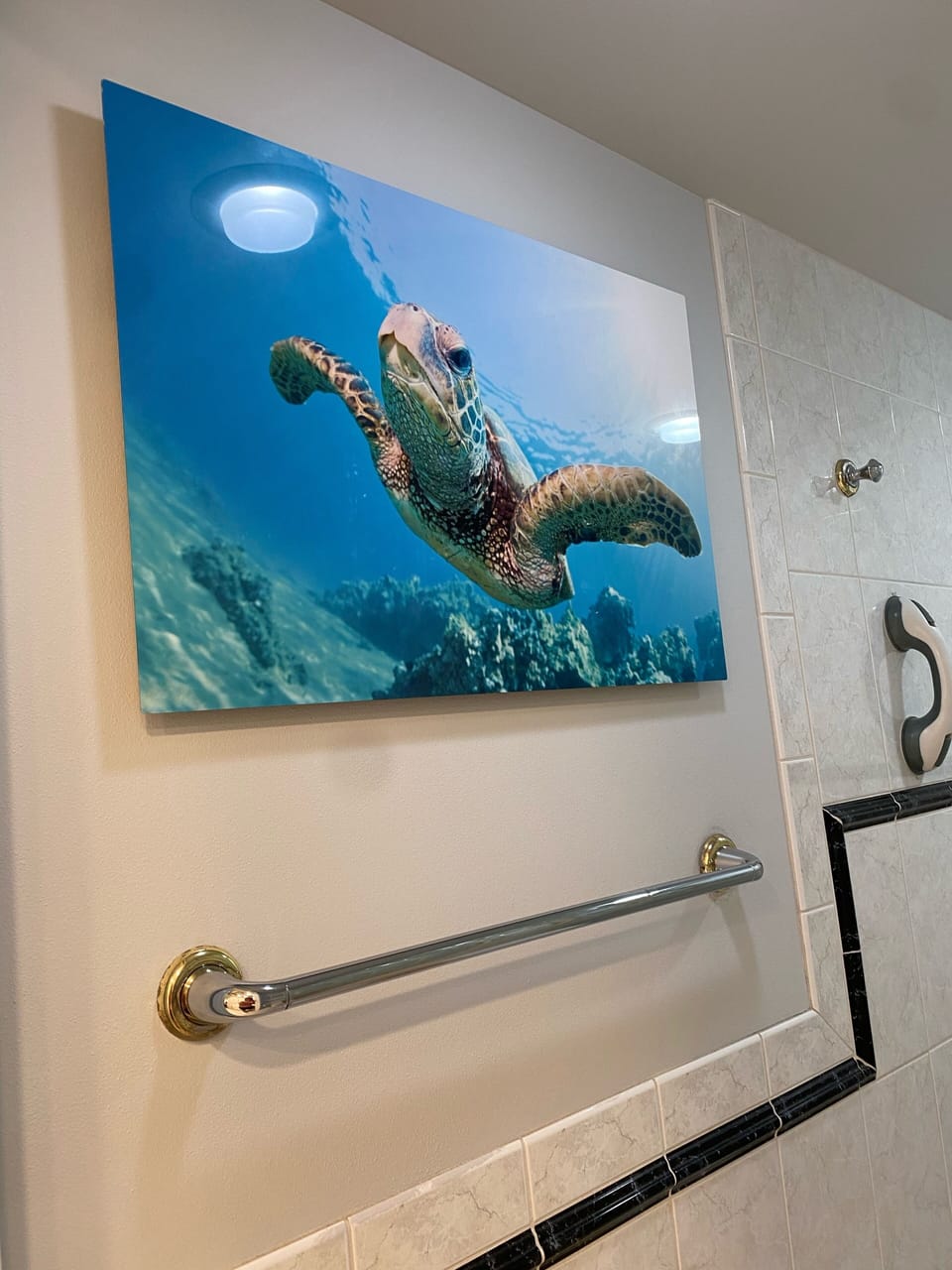 Handrail to enter shower 