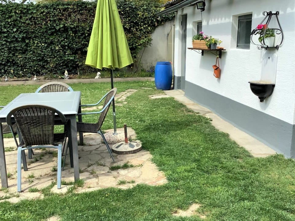 Plant, Property, Furniture, Flowerpot, Houseplant, Building, Green, Chair, Outdoor Furniture, Land Lot