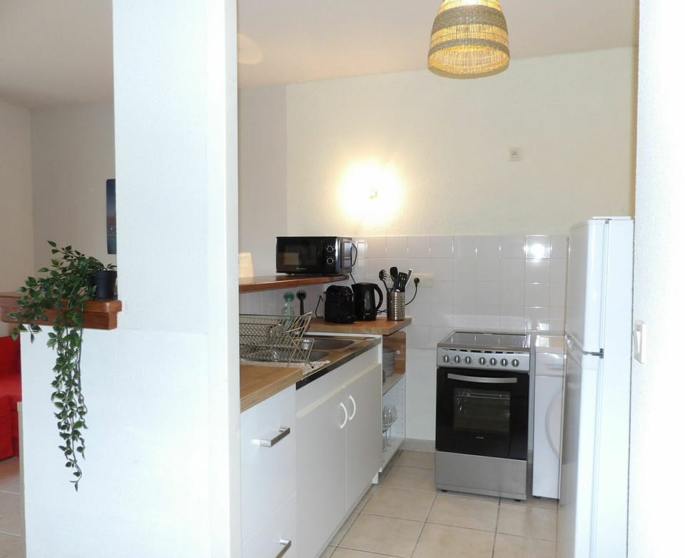 Cabinetry, Property, Building, Countertop, Plant, Kitchen, Kitchen Stove, Houseplant, Home Appliance, Wood