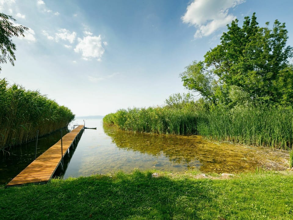 Cloud, Water, Sky, Plant, Water Resources, Ecoregion, Natural Landscape, Tree, Land Lot