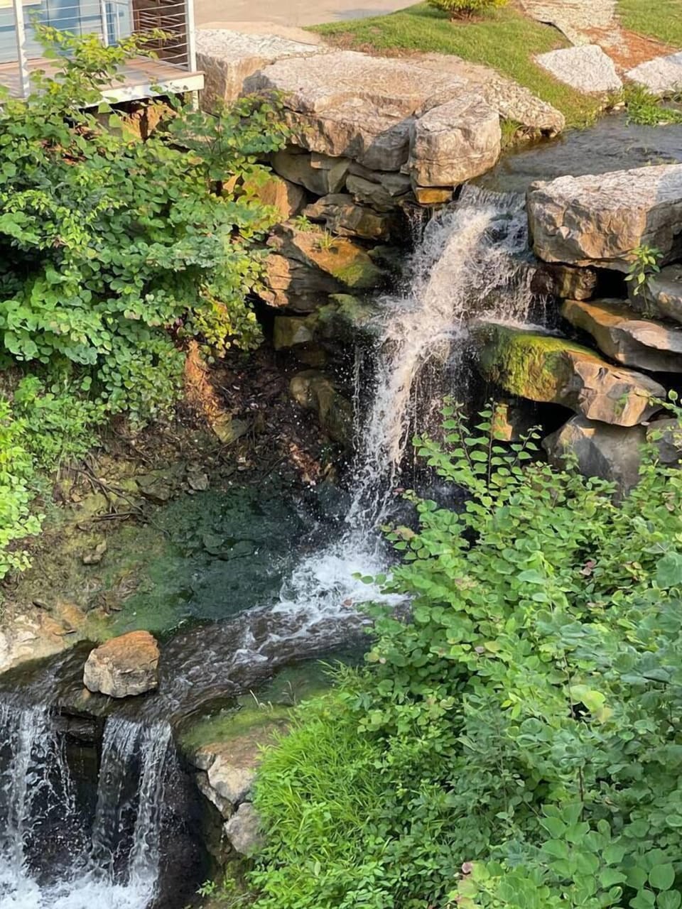 Hawaiian style waterfall off back porch