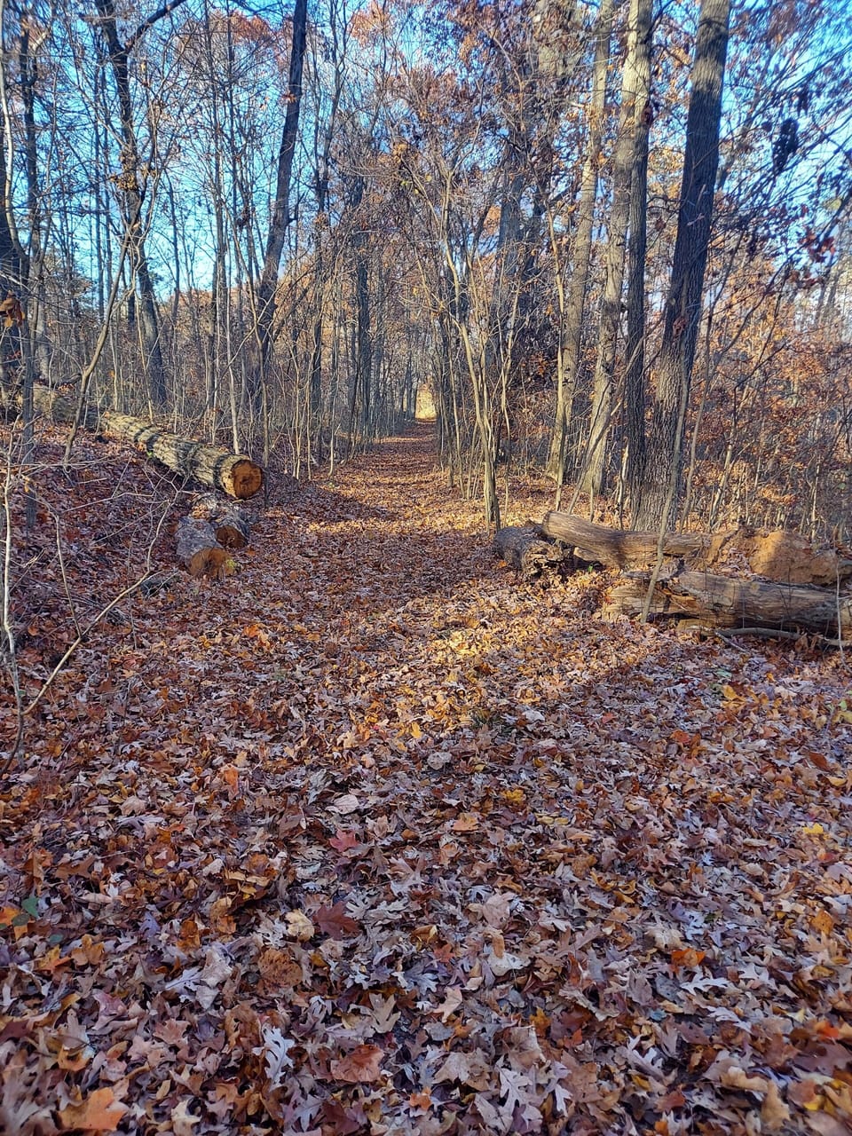White Oak Trail  11/2023 