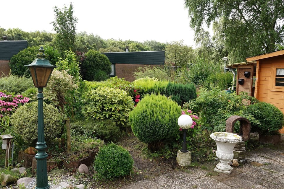 Garden [summer]