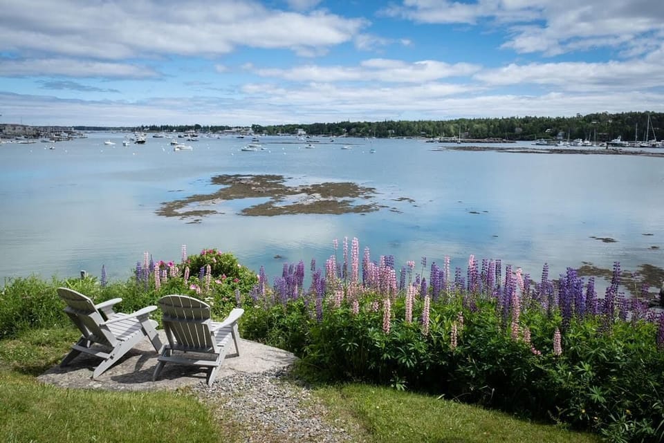 View of harbor from the yard
