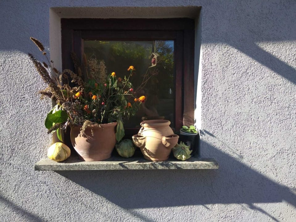 Ferienhaus Badetz House in Saxony-Anhalt, Germany