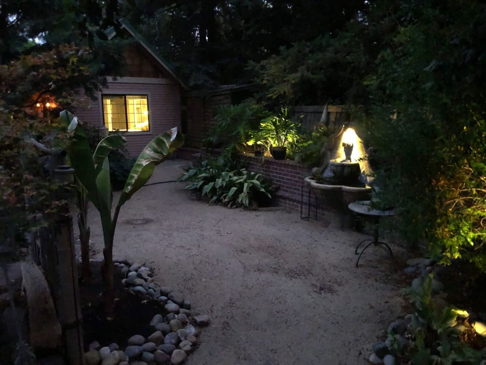 Night Garden w fountain