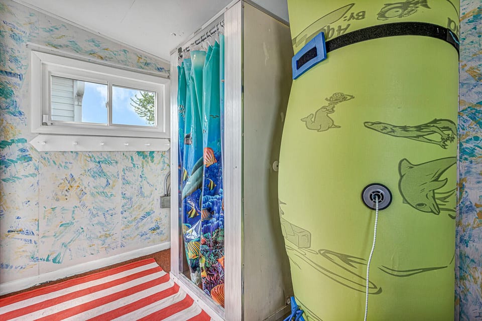 Detached building has 2nd shower and refrigerator + aqua mat & yard games!