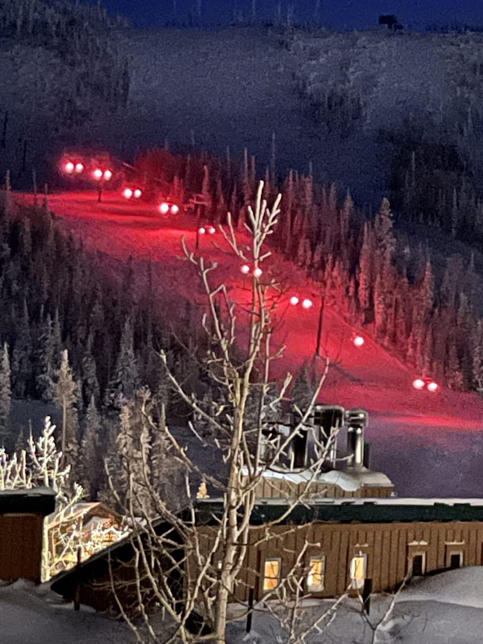 Snow and ski sports