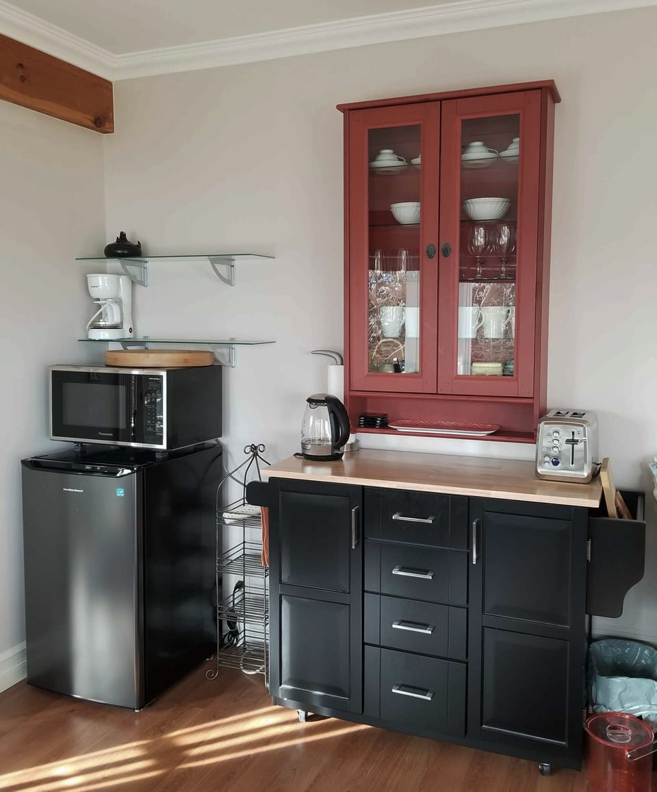 kitchenette in the living room