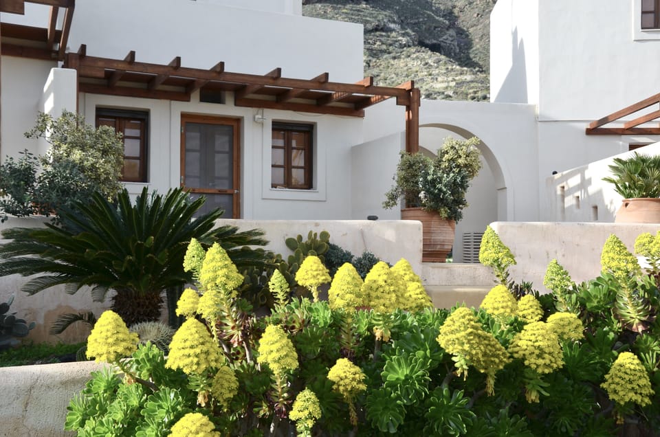 THE PATIO