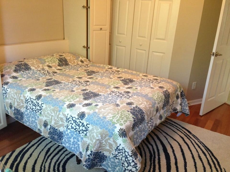 Queen Murphy Bed