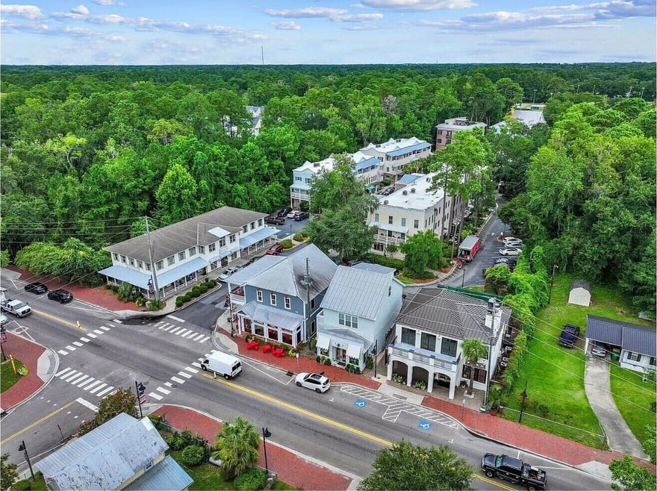 Aerial view of a charming small town district surrounded by lush forest canopy and featuring historic buildings along tree-lined streets.