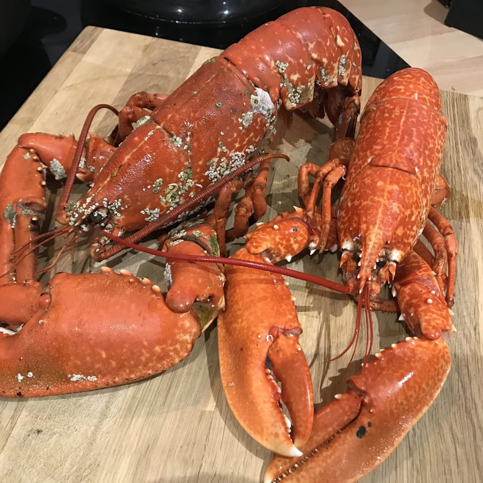 Local lobsters