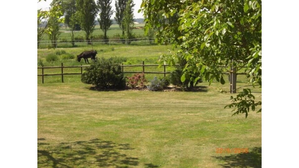 Looking over fields from back terrace 