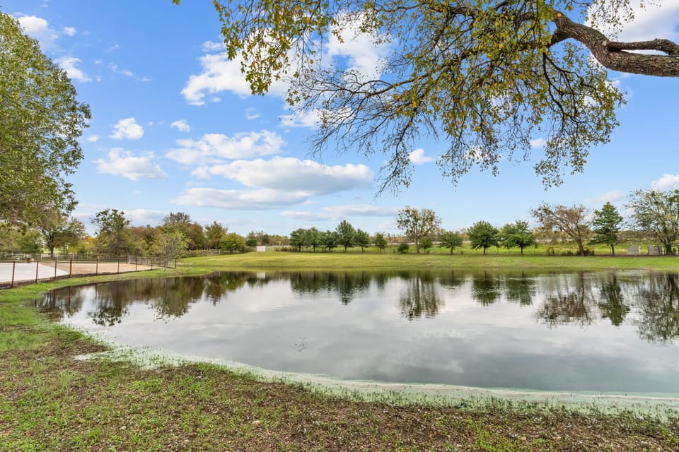 Cowtown Casa pond (pond water can change due to rainfall)